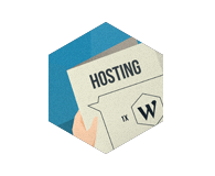 Ako si vybrať hosting pre WordPress stránky